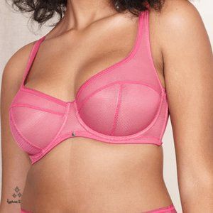 BEIJA LONDON CAUGHT UP Z BRA IN FUCHSIA